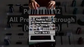 PolyBrute 12 - All Preset Walktrough (No Talking) - Part 2 - Bank 2 #synth #sounddesign #synthesizer