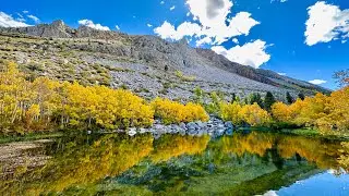 Eastern Sierra Bishop Fall Foliage | October 8, 2023