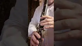 Ride of the valkyries Wagner solo Klarinette что игр мои онлайн ученики курс для взрослых 2026