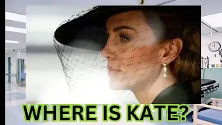 ❤️Day 149: The Unsolved Puzzle of Kate's Disappearance!