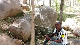 A Small river is called a stream 