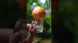 Fresh Coconut Water Favorite Summer Drink 😊 #shorts #coconut #trending
