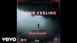 FlowDem - Caution
