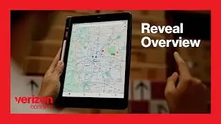 Boost Fleet Performance with Reveal