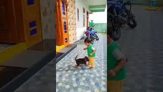 nanna kukka pilla vachindhe😍#trendingvideo #viral #kukkapilla