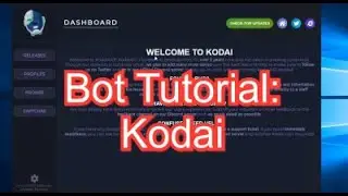 Учебное пособие по боту (Kodai) &mdash; как настроить, решить капчу и лучший бот для кроссовок на сайтах для ног