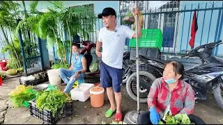 TÌNH HÌNH THỊ TRƯỜNG RAU ẢM ĐẠM - NGƯỜI BÁN NHIỀU HƠN NGƯỜI MUA