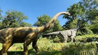 UK&rsquo;s Largest Dinosaur Themed Adventure Park | Roarr Norwich 🏴󠁧󠁢󠁥󠁮󠁧󠁿🇬🇧