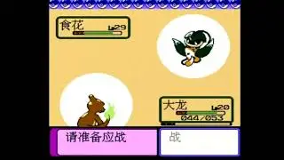 Pok&eacute;mon Leaf Green NES Chinese Pirate Port