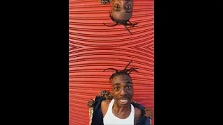 Drelli - We Don't Sell Dope (Official Video)