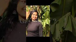 Following this gata only trends !! #Annie.PriiDanceTube #trending #shorts