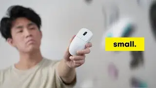 I spent ONE Year using only small gaming mice - My Experience