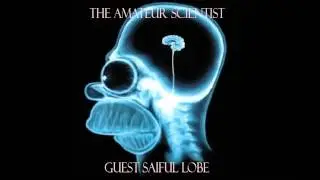 Memory  The Amateur Scientist