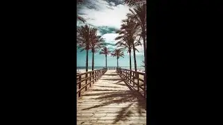 (FREE) 