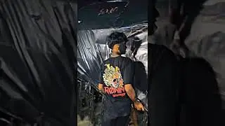 sapi hitam besar