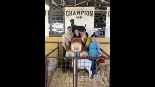 Silke Gage Grand Champion Goat Highlights at LIFE 2023