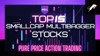 BEST SMALLCAP MULTIBAGGER STOCKS! PRICE ACTION TRADING SETUPS