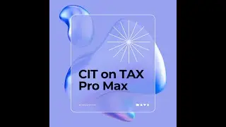 Company Income Tax Payment On TaxProMax