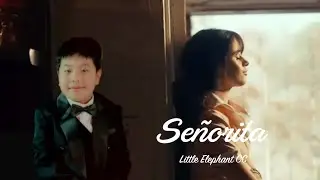 Se&ntilde;orita (Piano cover)  -  Little Elephant CC Piano Performance MV
