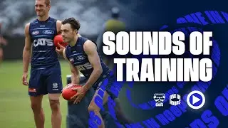 Another Week On The Track | Sounds of Training
