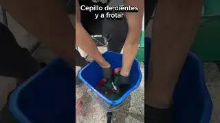 BRAKE calipers cleaning