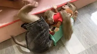 Clever Jason Adored Protecting Little Friend Deject With Mom Cause Trouble