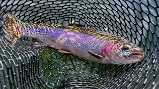 These Tiny Micro Spoons Catch Anything! How To Cast Efficiently
