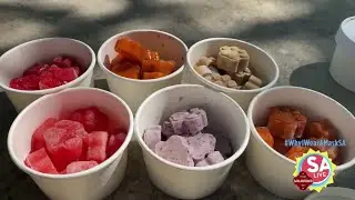 The must-have summer essentials for your dog