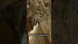 Secret tunnel! Quinta de Regaleria #tunnel #secret #palace #sintra #travel  #portugal