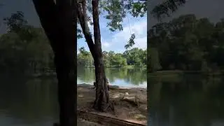 Siem Reap, Cambodia 🇰🇭 Amazing View around Angkor wat temple #travel #nature #beautiful #music