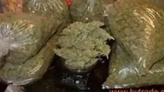 captinblack ft DJ Blaqrag - Marijuana