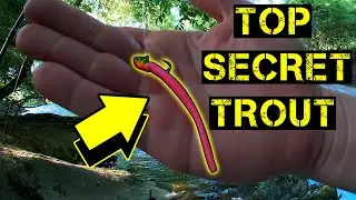 Pa Trout Fishing 2024 SECRET SPOTS