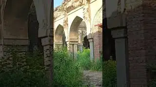 Begumpur mosque in delhi #mosque #shorts