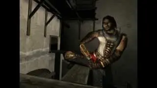 Prince of Persia: The Two Thrones funny video