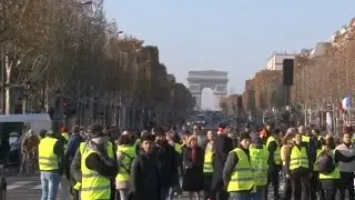 Protester dead in France after fuel tax protests