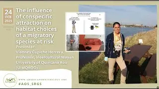 The influence of conspecific attraction on habitat choices of a migratory species at risk
