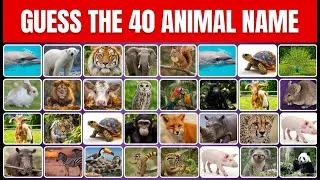 Guess 40 Animals in 3 Seconds! Easy, Medium, Hard & Impossible Animal Quiz