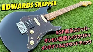 EDWARDS SNAPPER ESP直系のエドワーズ製スナッパー！メンテナンスとサウンドチェック！
