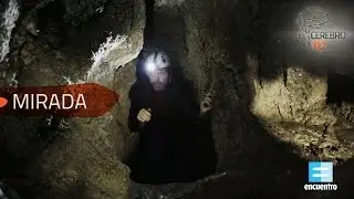 Mirada - Cap&iacute;tulo completo - El Cerebro y Yo