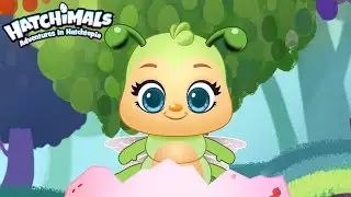 A Brand New Hatchimal! (Compilation) | Hatchimals Adventures in Hatchtopia | Cartoons for Kids