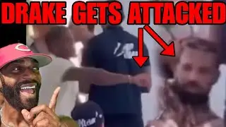 DRAKE GETS ATTACKED & ALMOST PUNCHED IN THE FACE BECAUSE OF BEES?