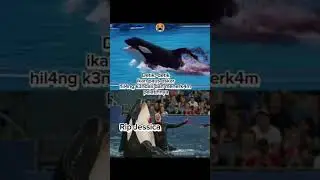 Jessica actual Video jessica #jessica #jessica #viral #viralvideo #trending #jessica #dolfin