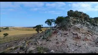 Mingenew hillwheatoct17