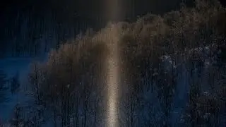 厳寒の朝に立つ太陽柱（ダイヤモンドダスト）　北海道美瑛町にて  Diamond Dust Pillar Biei Hokkaido Japan