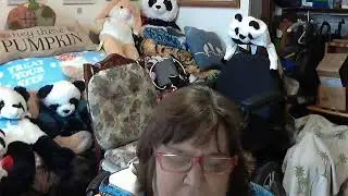 Discussion B Exploring adults over 50 experience disability
