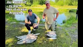 Forellenangeln im Sommer Patricks Angelteiche Lachsforellen Gummik&ouml;der Bodentaster Powerbait