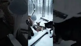 🦌💔 Injured Deer Attacks Woman! Black Wolf Defends Her Then Helps The Deer Escape! 🐺🌿