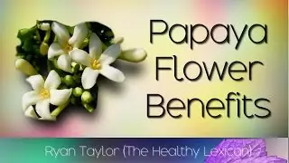 Papaya Flower: Benefits