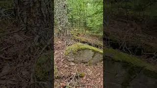 Кирконкюля. Руины Восточно-карельского народного училища. Ruins of the East Karelian public school