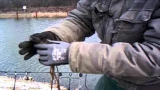 Karpfenangeln-8-Angeln an der Schleuse 15-17.03